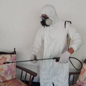 Empresa de fumigación - Valencia Carabobo
